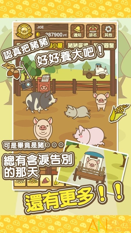 养猪场游戏图片1