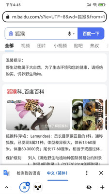狐猴浏览器app官网