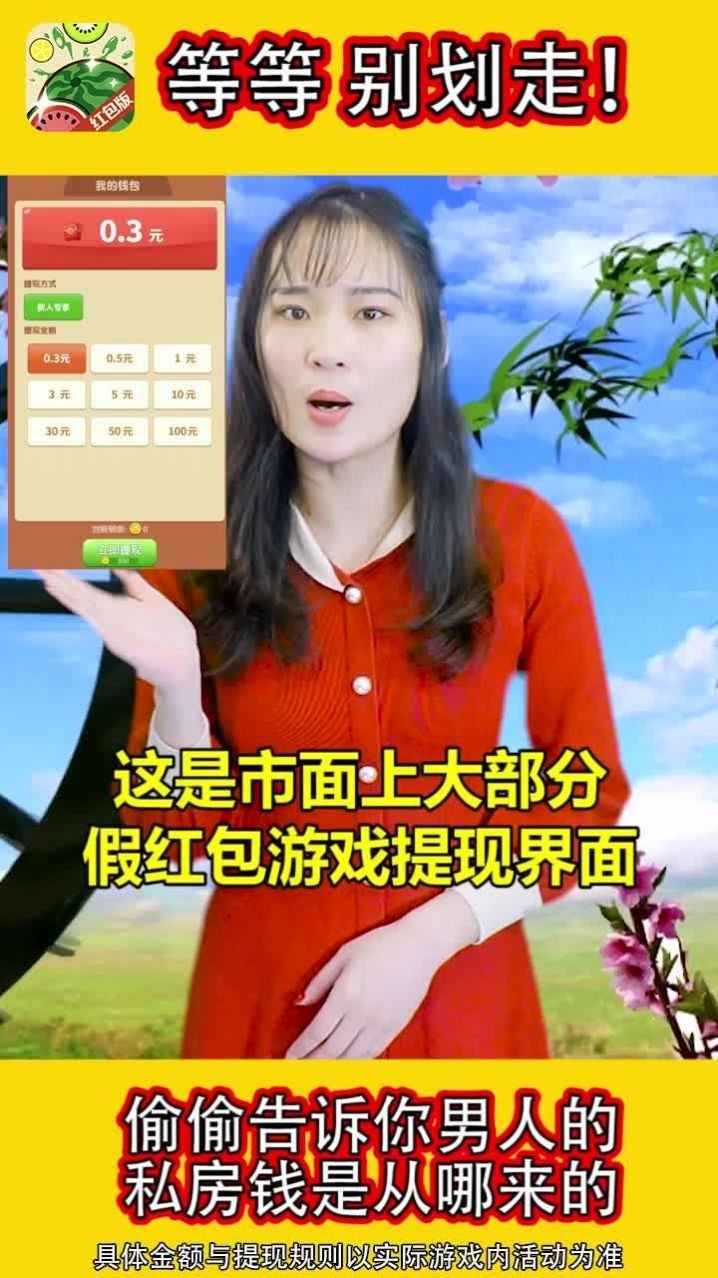 西瓜我来消游戏