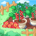 来种小番茄天降红包游戏