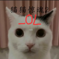 猫猫惊魂2OL原版