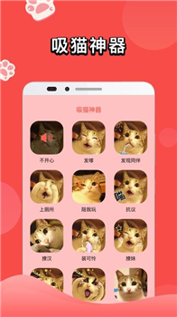 人猫交流器app官方